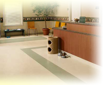 Chicago vinyl floors